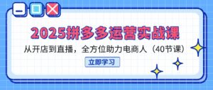 2025拼多多运营实战课,从开店到直播,全方位助力电商人(40节课)