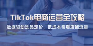 TikTok电商运营全攻略,数据驱动选品定价,低成本引爆店铺流量