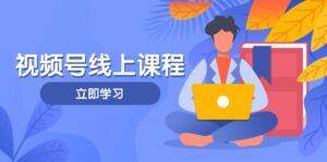 视频号实战课程,轻IP打造与运营技巧,掌握核心方法与策略