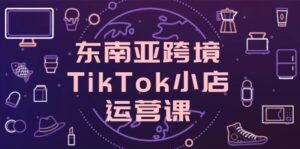 东南亚跨境TikTok小店运营课,掌握店铺设置与流量转化核心技巧