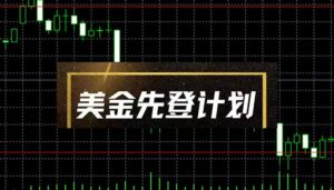 美金先登计划(2025黑马项目)(日收益2至3K,当日可提现,可放大操作)