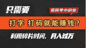 只需要打字,打码,就能赚钱?简单的赚钱小副业,利用碎片时间,月入过万