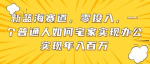 新蓝海赛道,零投入,一个普通人如何宅家办公实现年入百万