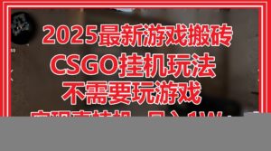 2025最新游戏搬砖，CSGO挂机，不需要玩游戏，实现真挂机，月入1W+
