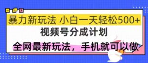 视频号分成计划,全网最暴力玩法,新手一天也能轻松500+