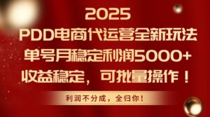 2025PDD电商代运营全新玩法,单号月稳定利润5000+,收益稳定,可批量操作