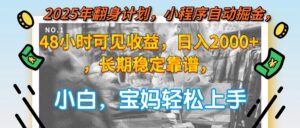 2025年翻身计划,小程序自动掘金48小时可见收益,日入2000+,长期稳定…