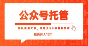 【公众号托管 】我提供文章,你每天5分钟复制发布,最高月入1W