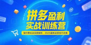 拼多多盈利实战训练营,强付费玩法深度解析,2025运营技巧合集-更新6月
