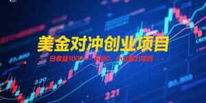 美金对冲创业项目，日收益 1000 – 4000，小众暴力项目