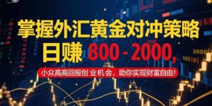 掌握外汇黄金对冲策略,日赚 800 – 2000,小众高回报创业机会,助你实…