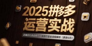 2025拼多多运营实战:店铺定位选品技巧,爆款打造全流程解析(更新6月)