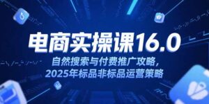 淘宝电商运营课16.0，自然搜索与付费推广攻略，2025年标品非标品运营策略