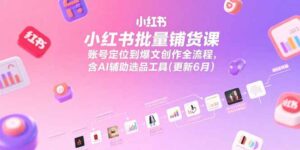 小红书批量铺货课,账号定位到爆文创作全流程,含AI辅助选品工具(更新6月)