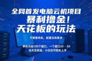 电脑云机项目 暴力撸金玩法,不需要养机 配置没有要求 单机100个窗口一…