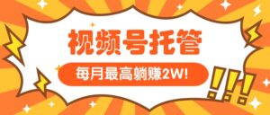 【视频号托管 】我提供视频,你每天5分钟复制发布,最高月入1W