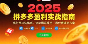 拼多多盈利实战指南,强付费玩法,活动爆流技术,微付费破局方案(更新7月)