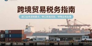 跨境贸易税务指南,进口业务退税要点,转口贸易风险,特殊业务处理