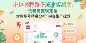 小红书野路子流量实战营:低粉高变现定位 对标账号精准分析 内容生产提效