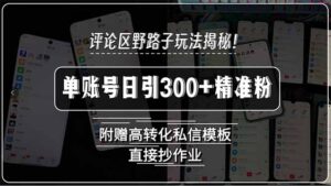 评论区野路子玩法揭秘!单账号日引300+精准粉,附赠高转化私信模板,直…