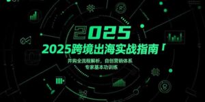 2025跨境出海实战指南,并购全流程解析,自创营销体系,专家基本功训练