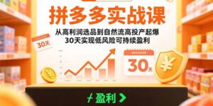 拼多多实战课：从高利润选品到自然流高投产起爆 30天实现低风险可持续盈利