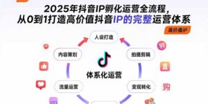 2025年抖音IP孵化运营全流程,从0到1打造高价值抖音IP的完整运营体系