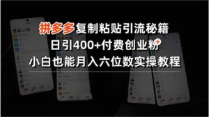 拼多多复制粘贴引流秘籍,日引400+付费创业粉,小白也能月入六位数实操…