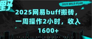 2025网易buff搬砖，一周操作2小时，收入1600+
