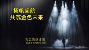 美金对冲创业项目,日收益1000-3000,小众暴力项目稳定运行8年