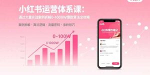 小红书运营体系课:通过大量实战案例拆解0-1000W爆款算法全攻略