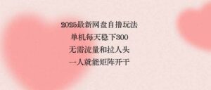 2025最新网盘自撸玩法,单机每天稳下3张,无需流量和拉人头,一个人就…