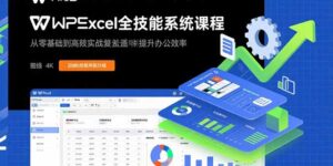 WPS Excel全技能系统课程:从零基础到高阶实战全覆盖,全面提升办公效率