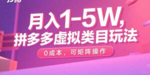 月入1-5W,拼多多虚拟类目玩法,0成本,可矩阵操作