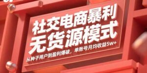 社交电商暴利无货源模式:从种子用户到盈利爆破,单账号月均收益5w+