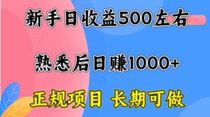 一台电脑,前期日收益300-500,熟练后日入1000左右