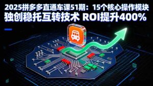 2025拼多多直通车课51期:15个核心操作模块 独创稳托互转技术 ROI提升400%