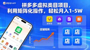 拼多多虚拟类目项目,利用矩阵化操作,轻松月入1-5W