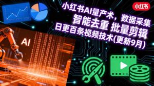 小红书AI量产术,数据采集 智能去重 批量剪辑 日更百条视频技术(更新9月)