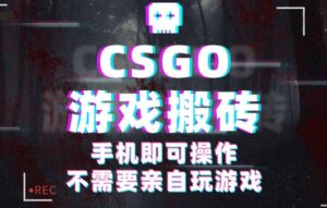 CSGO游戏挂机捡漏,单日扫货500+,年底小高峰上车可吃肉,手机即可操作…