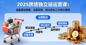 2025跨境独立站运营课:涵盖建站搭建、流量获取、转化优化三大核心模块