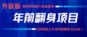 项目讲解年入百万：小白轻松上手，纯手机操作.日入2k+