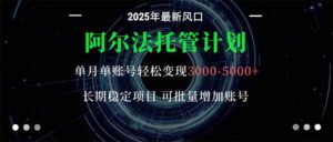 阿尔法托管计划 单账号月入3000-5000，长期稳定项目，新手小白轻松上手。